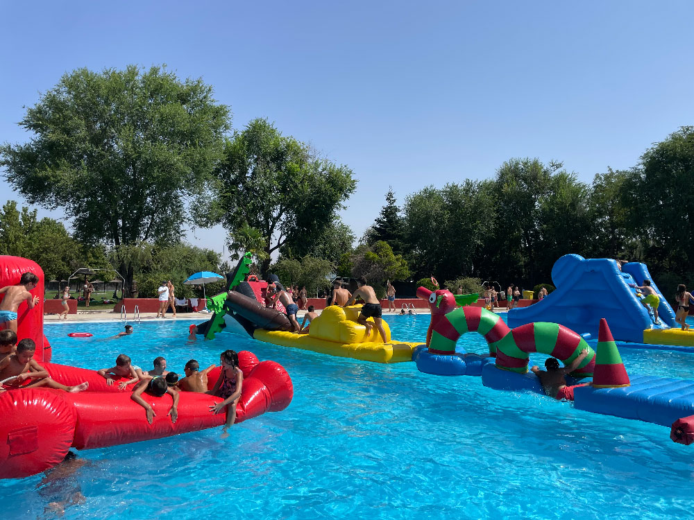 POOL1-